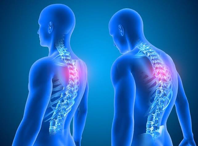 Coastal Chiropractic, St. Petersburg FL